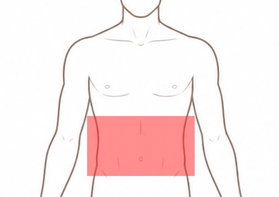 Abdomen