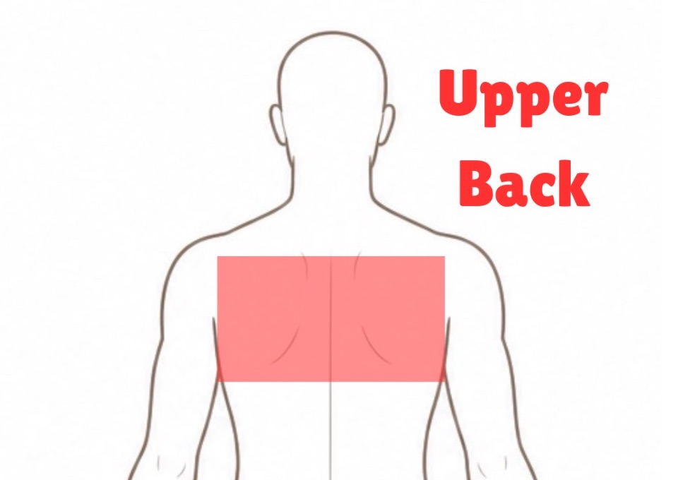 Half Back Upper