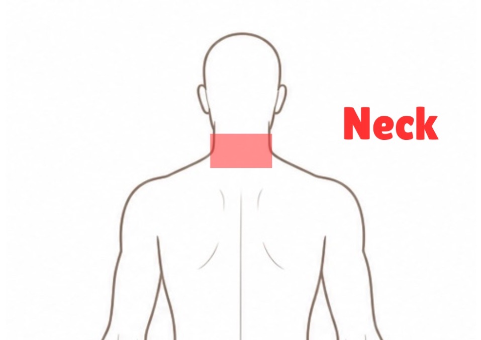 Neck