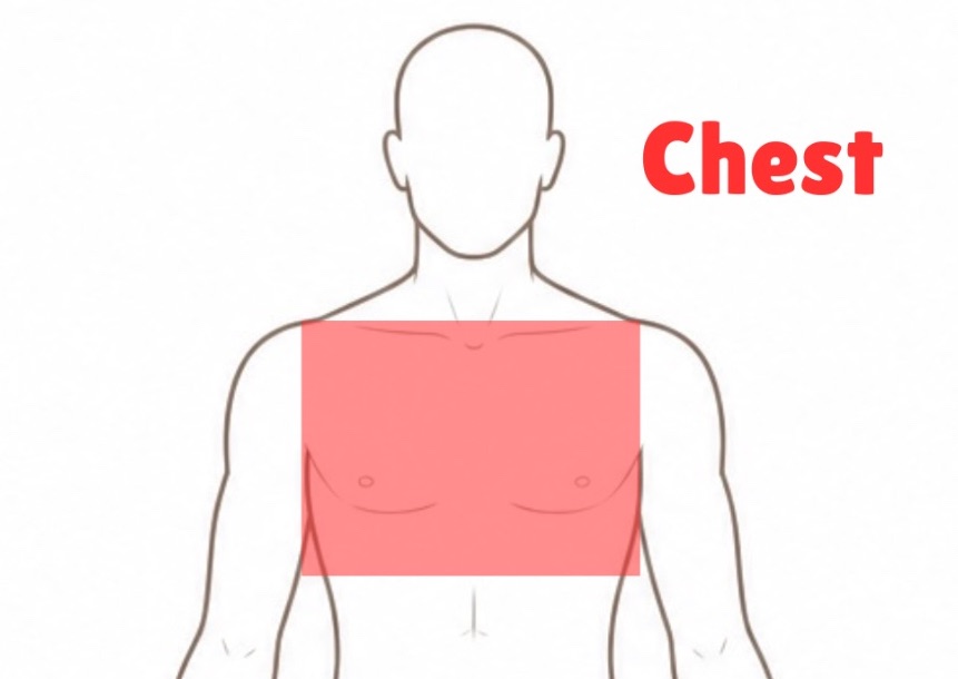 Chest