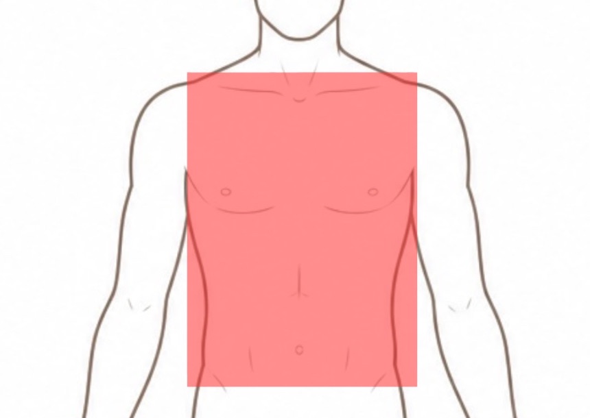 Front (Chest+Abdomen)