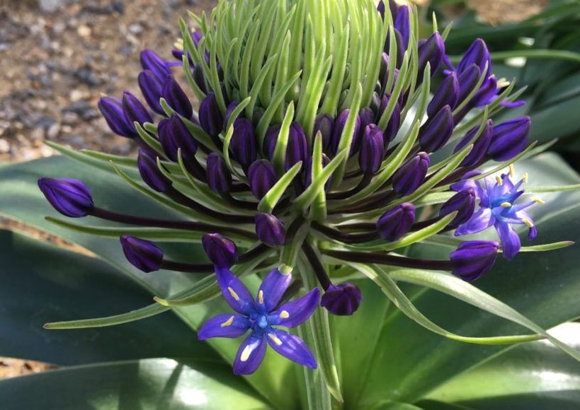 Private Yoga Session In Person