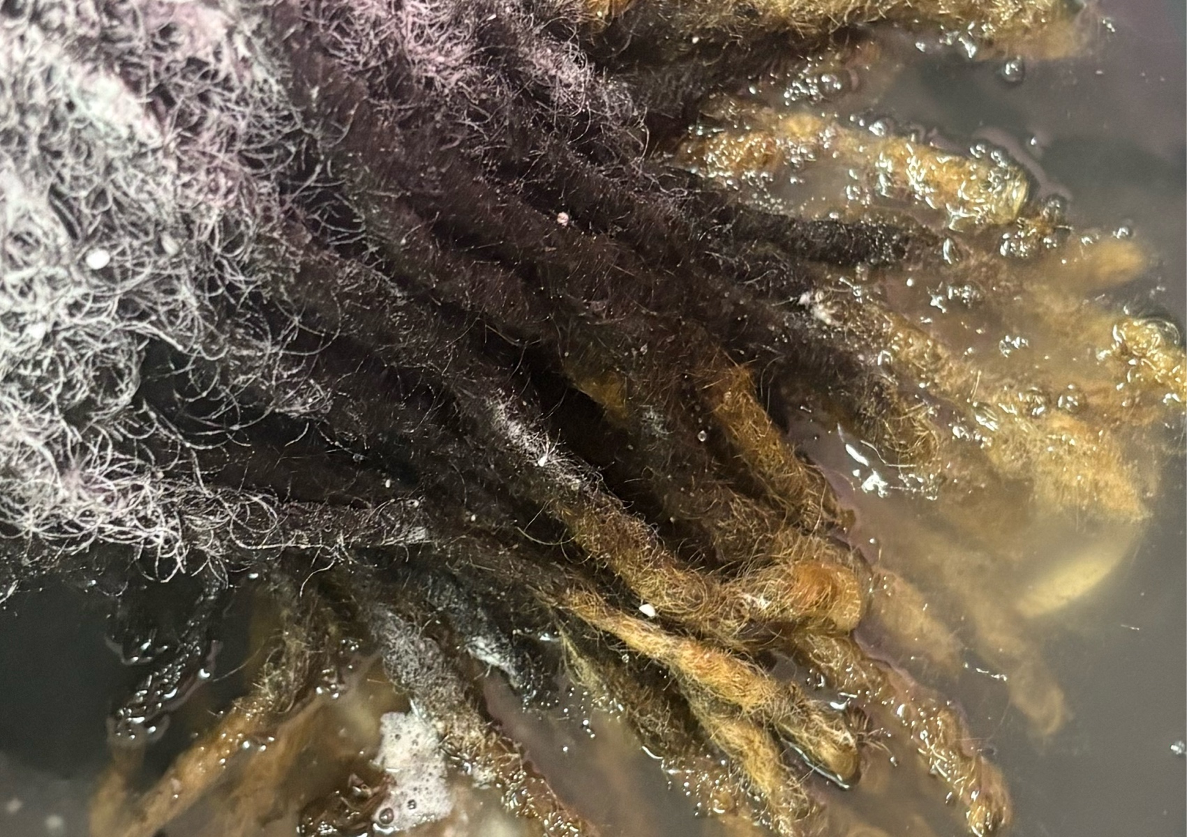 Loc Detox