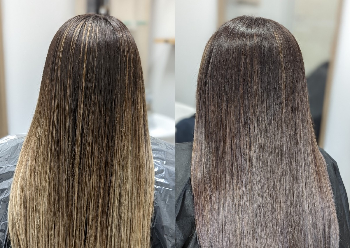 Toner/ Color Gloss blow dry style 