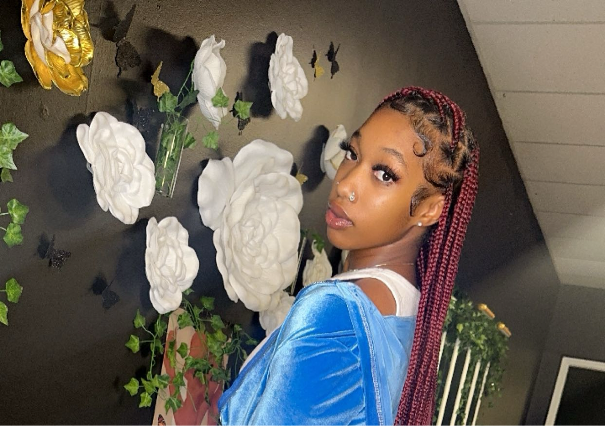 Medium Knotless Braids(hair included)