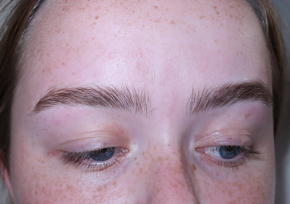 Basic Brow Sculpt  (1/2)