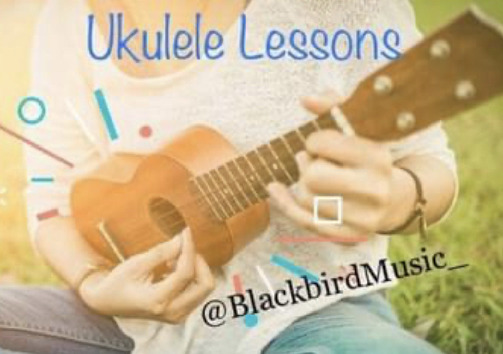 Consultation -Ukulele