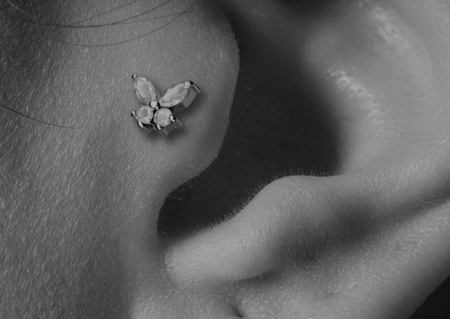 Tragus