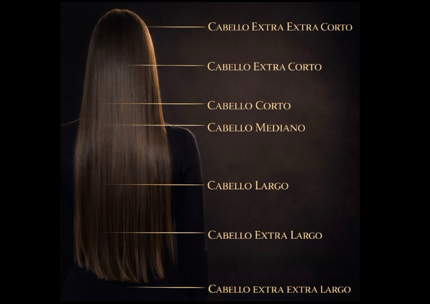 Corte y blower mediano ( cabello entre el nivel del medio cuello  y tocando los hombros) 