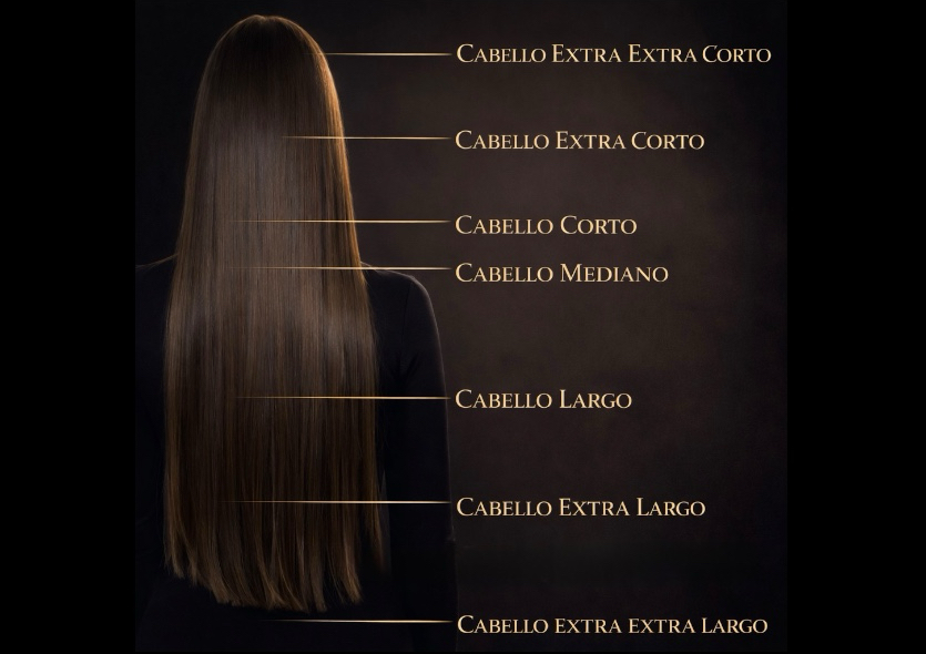 Corte y blower en cabello largo ( cabello entre el nivel  del hombro y la cinta de bracier) 