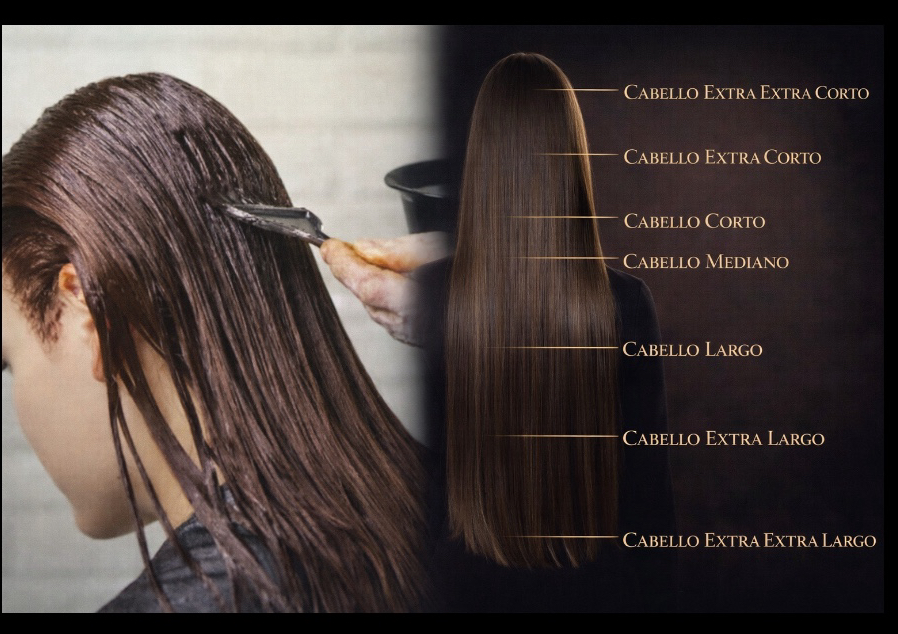 Color full y blower extra corto ( caballo hasta el nivel de las orejas)