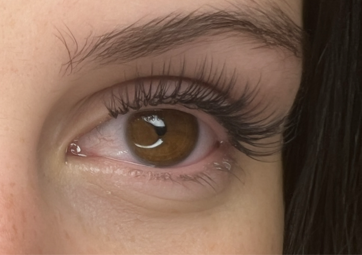 Classic lash set