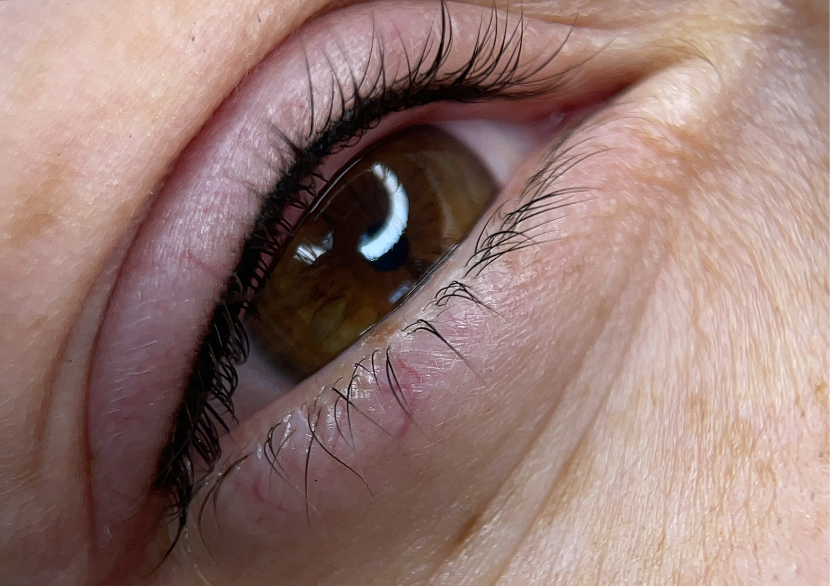 🇺🇦Micropigmentare  contur gene