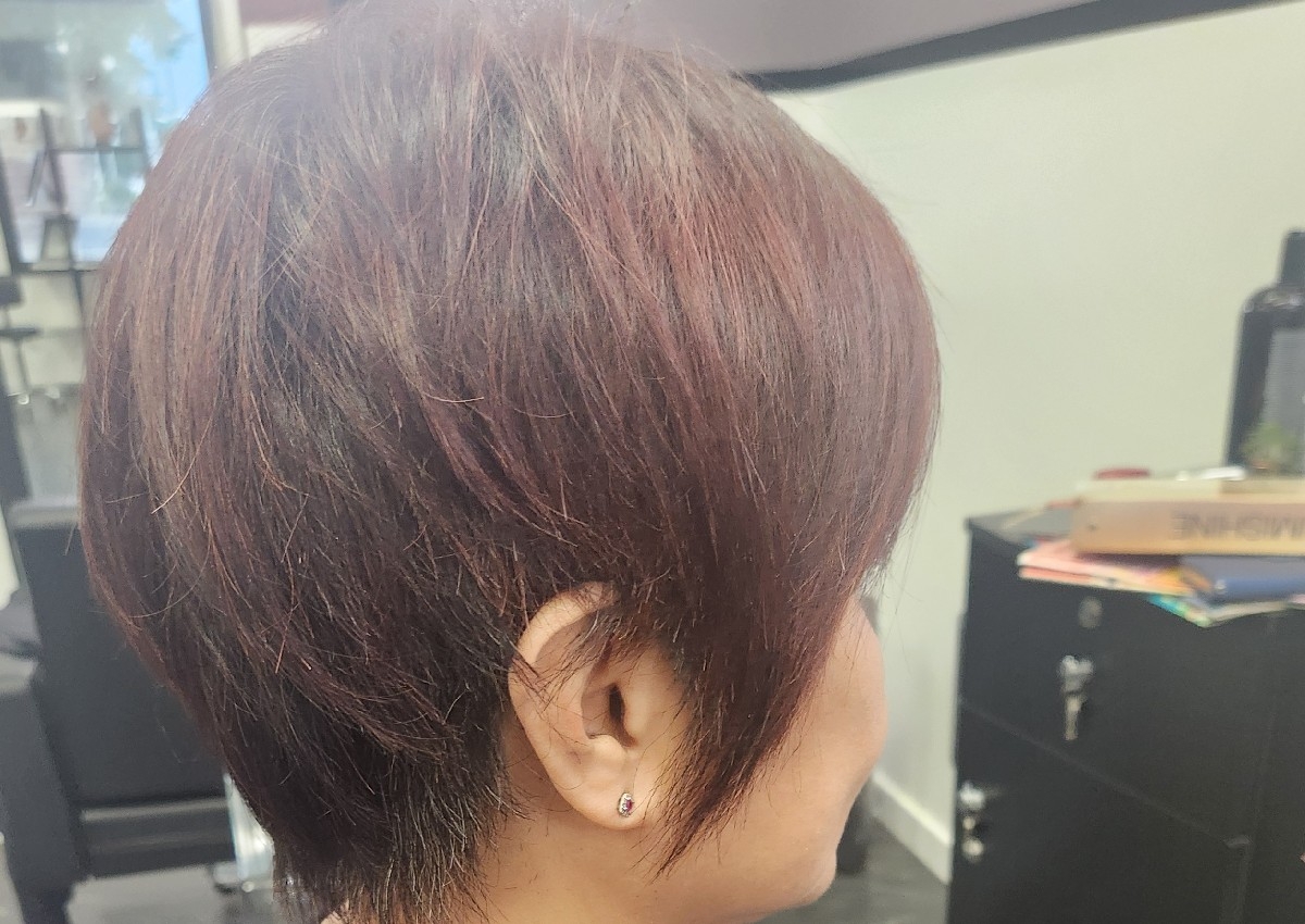 Ladies (short hair) dry cut