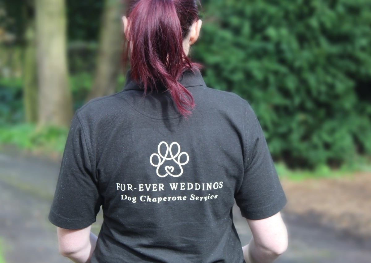 Consultation for Dog Chaperone Service 