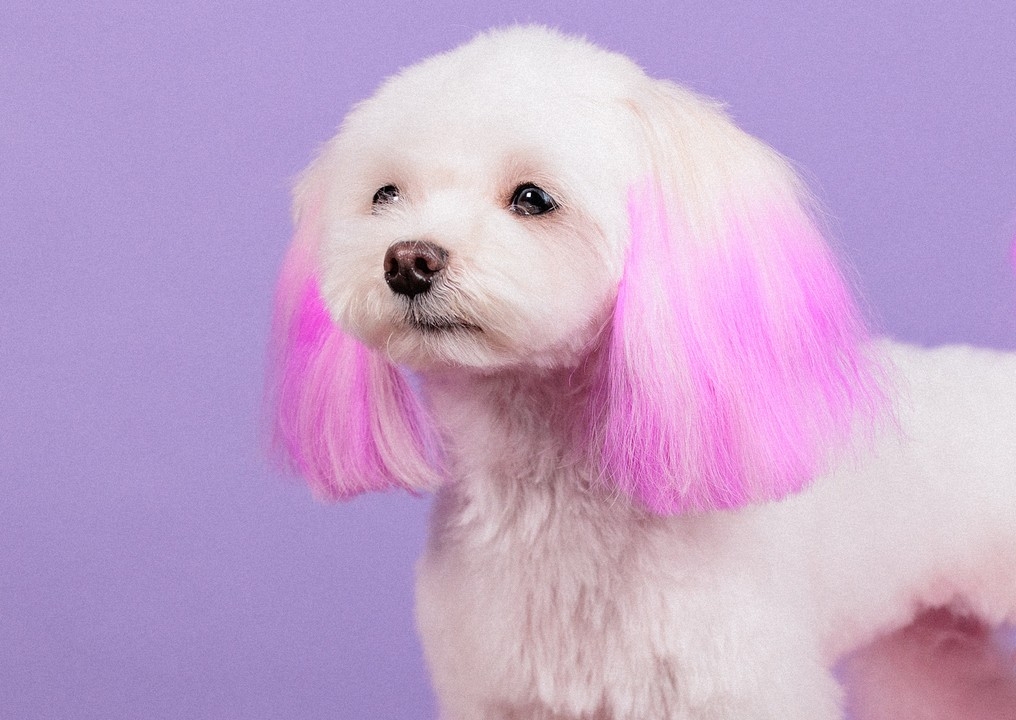 Permanent Hair Colouring - Just Ears (lasts 20+ washes) 