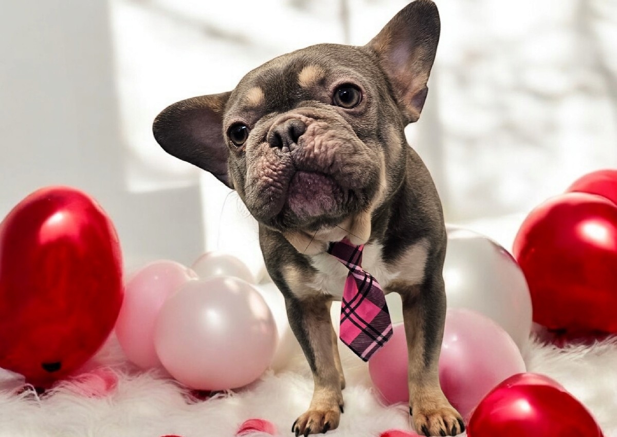 Woof You Pamper Package 💗💗