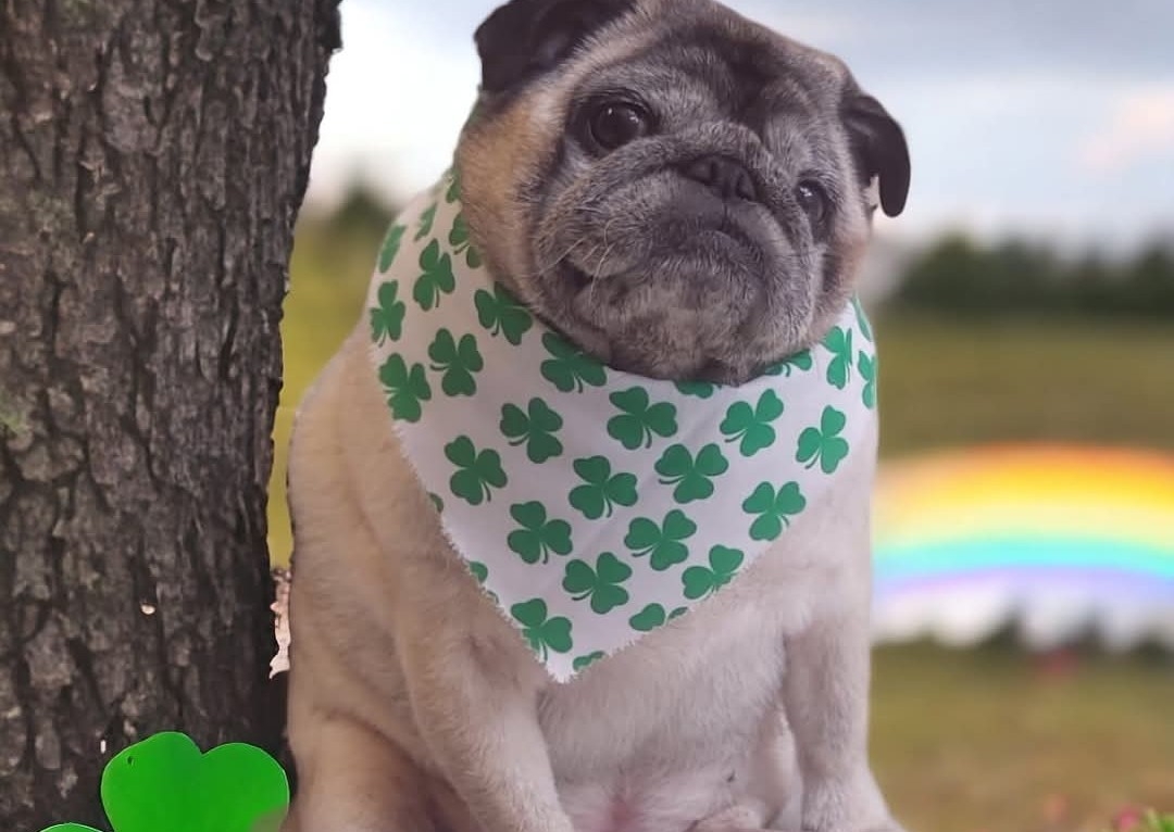 Lucky Charm Pamper Package 🍀🪙