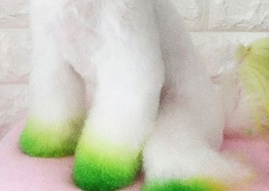 Hair Chalk - All Four Feet (lasts 1-3 days)