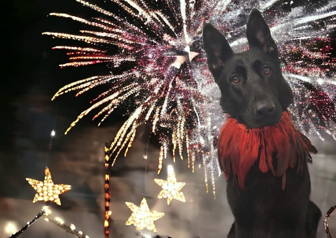 Yappy New Year Pamper Package ✨️💃