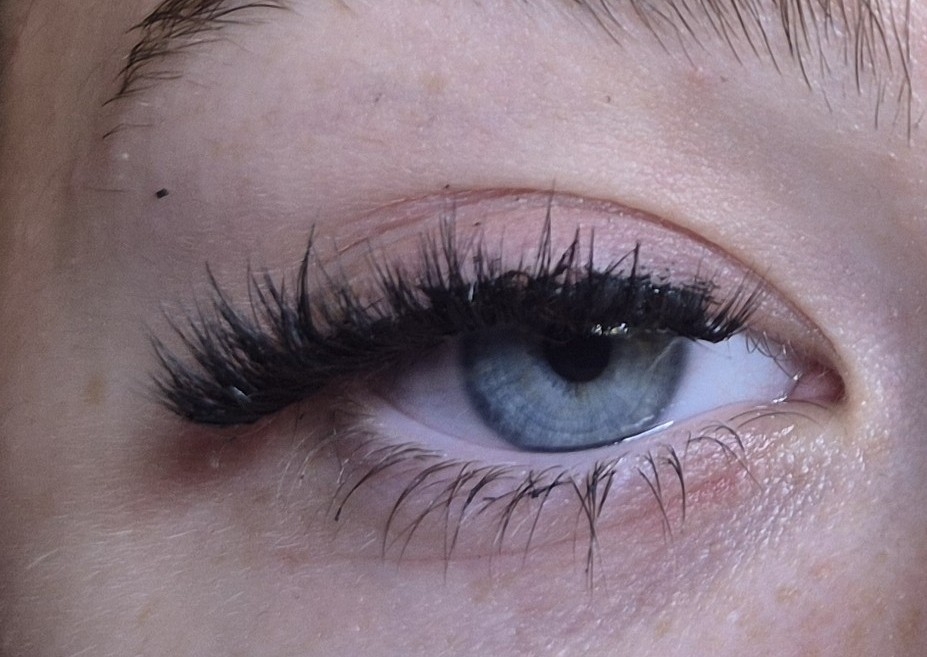 The Introduction Lash