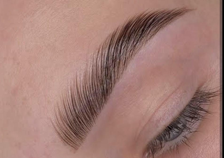 Brows Lamination