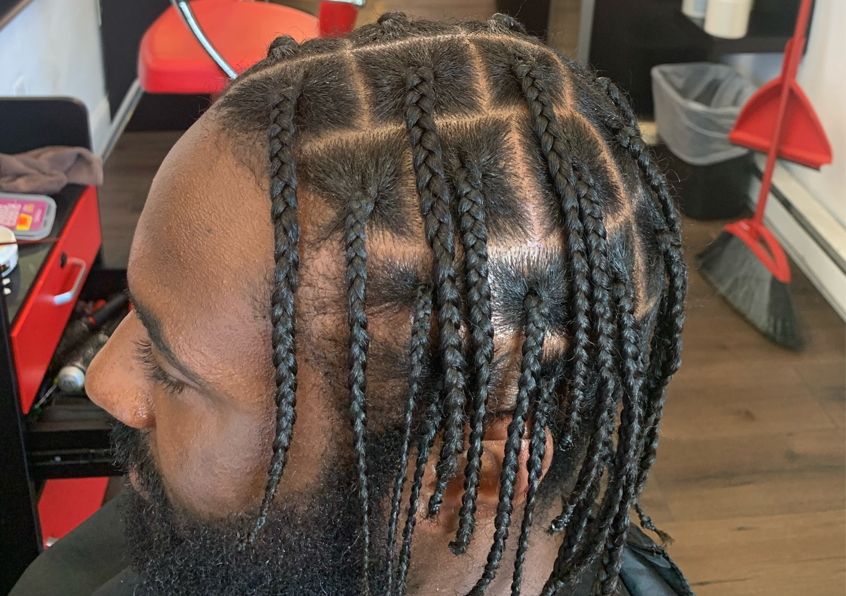 Single Braids 100 & up(natural hair)