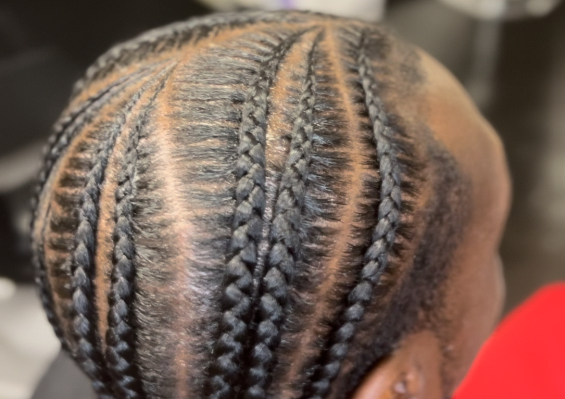 Mens Freestyle Natural Braids or 2-Strand Twists Styles