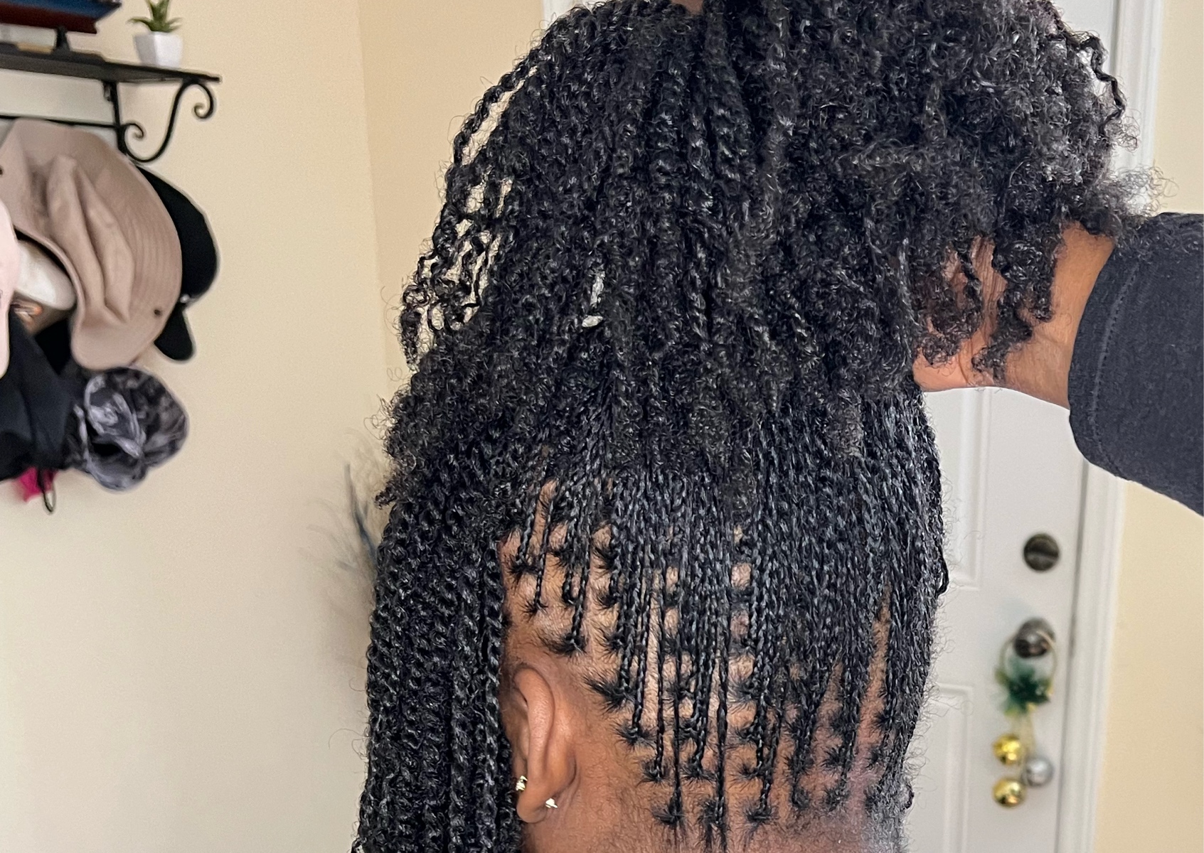 Consultation Micro Twists/Braid Locs & Mini Locs 