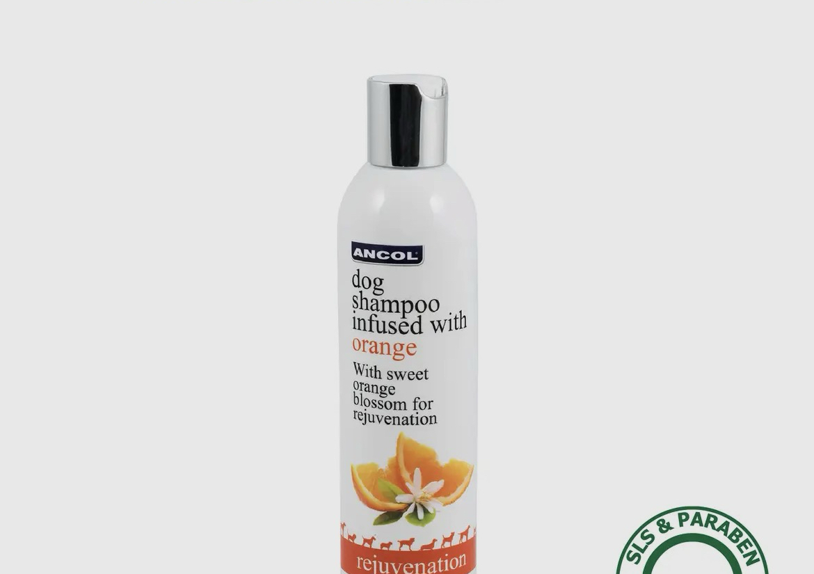 Luxury dog shampoo - orange