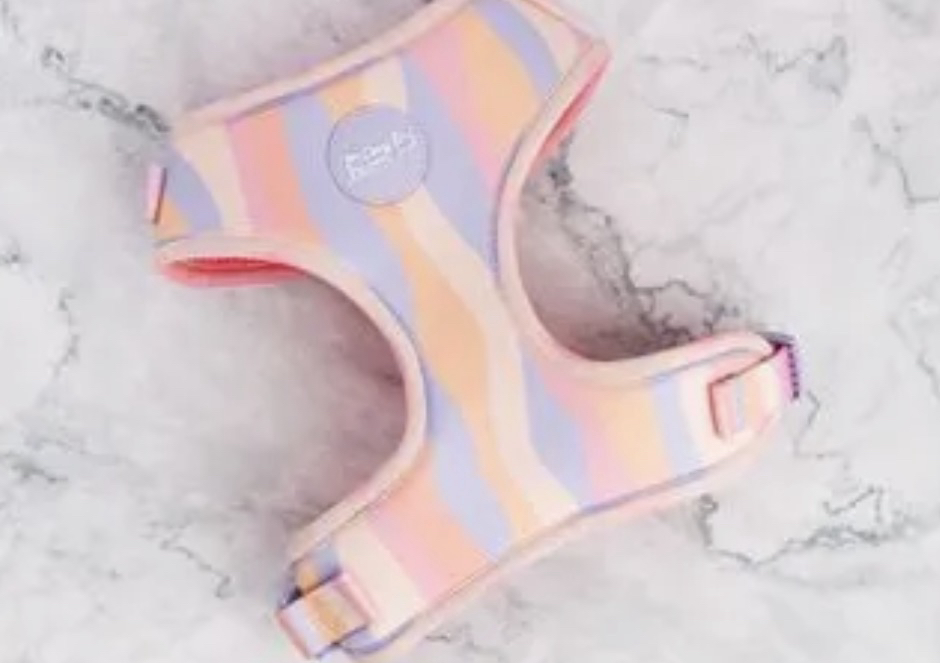 Adjustable Dog Harness - Chase Away The Blues sizes XS - L