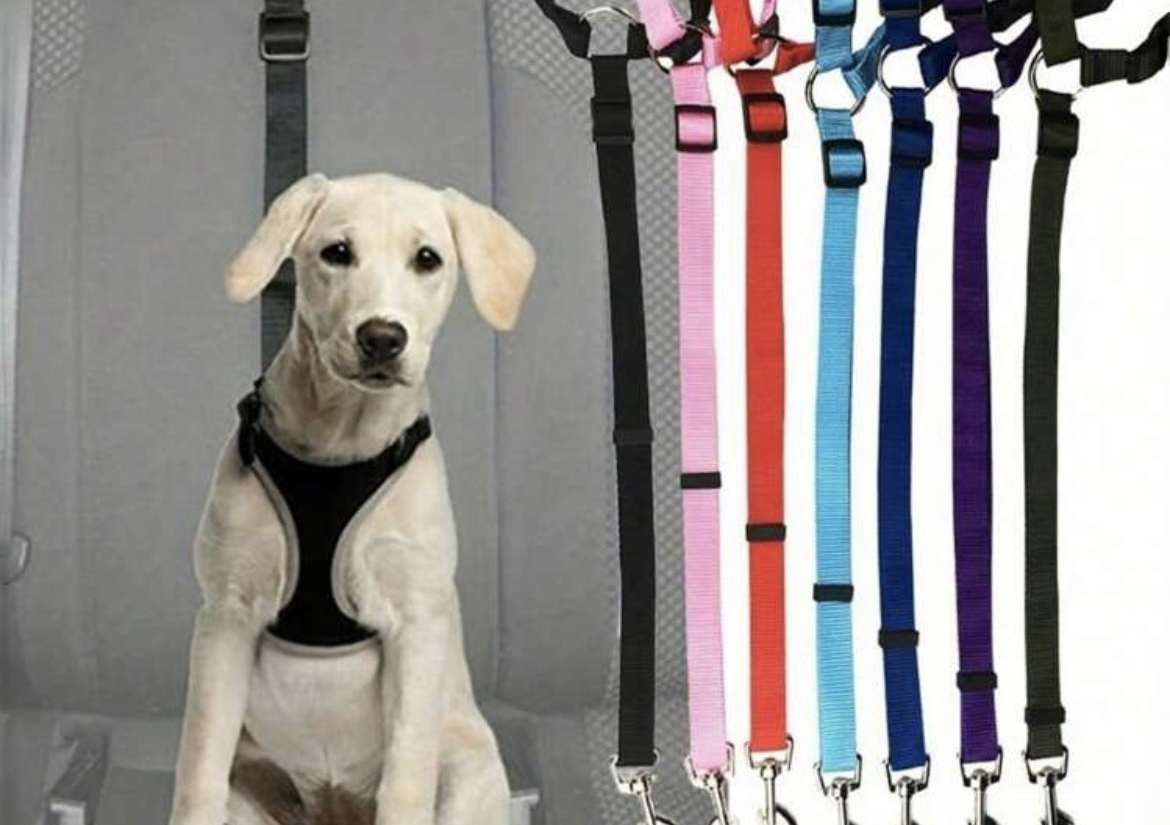 Dog Seat Belt - Black