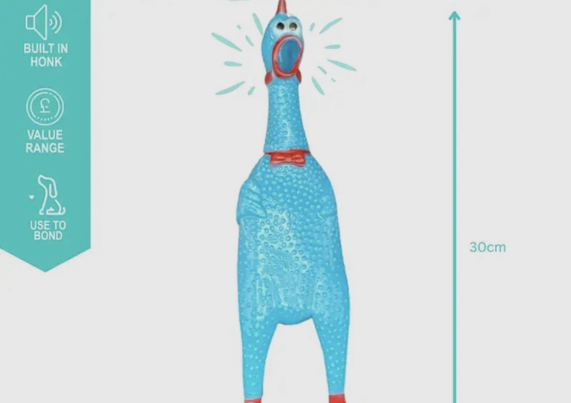 Vinyl Honking Chicken (random colour)