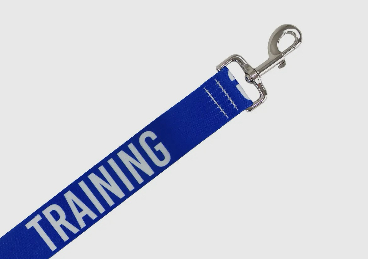 Awareness training & safety dog lead 1.5 metres ~ training