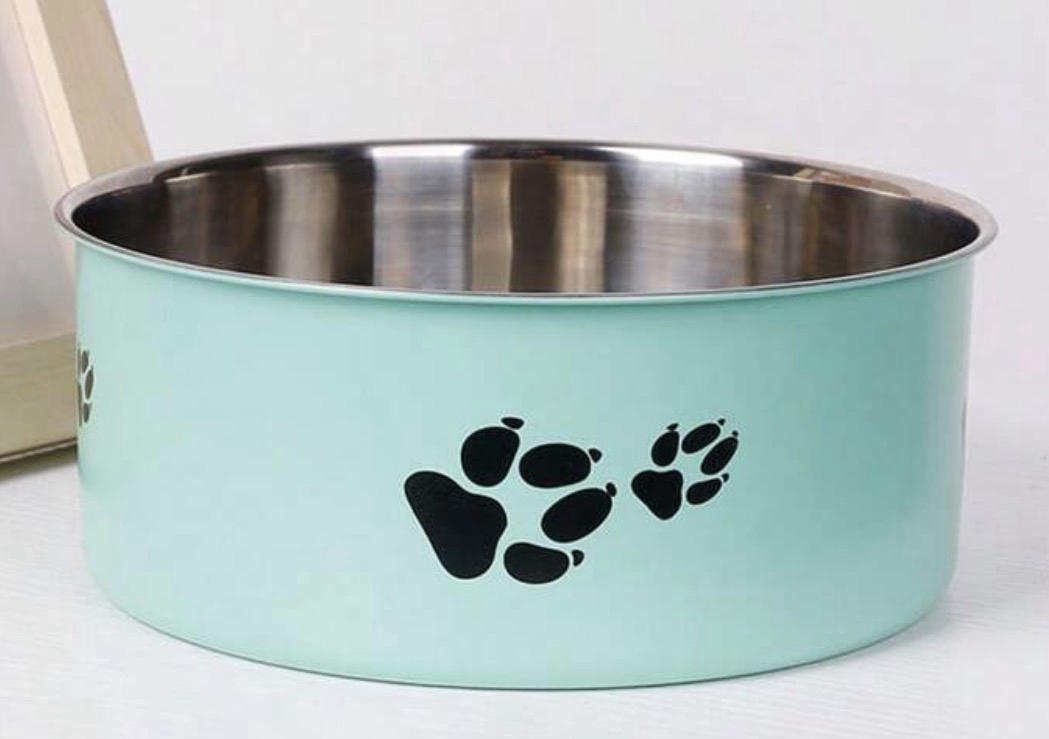 XL Dog Food/Water Bowl ~ Mint Green