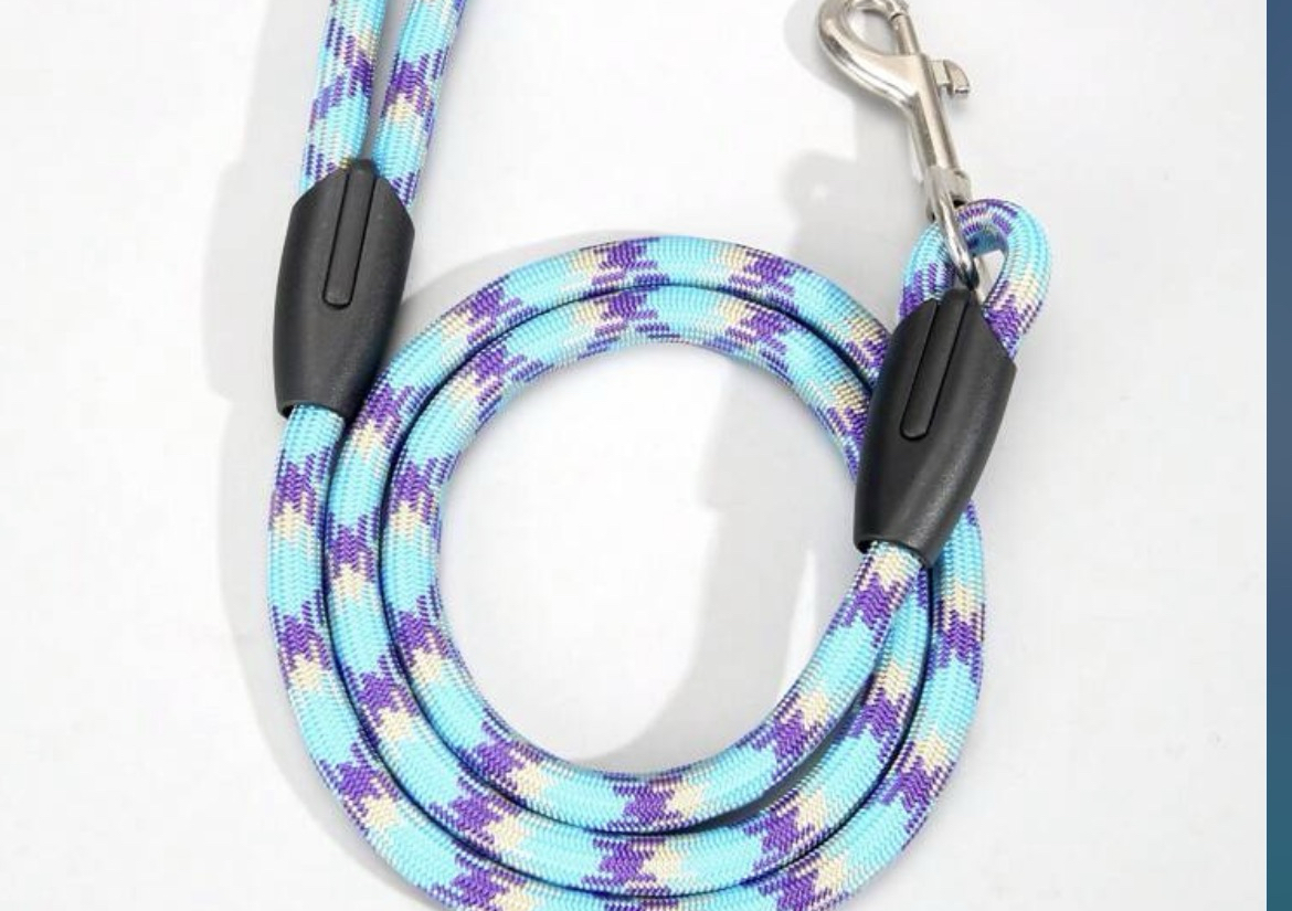 Dog Rope Lead - Blue