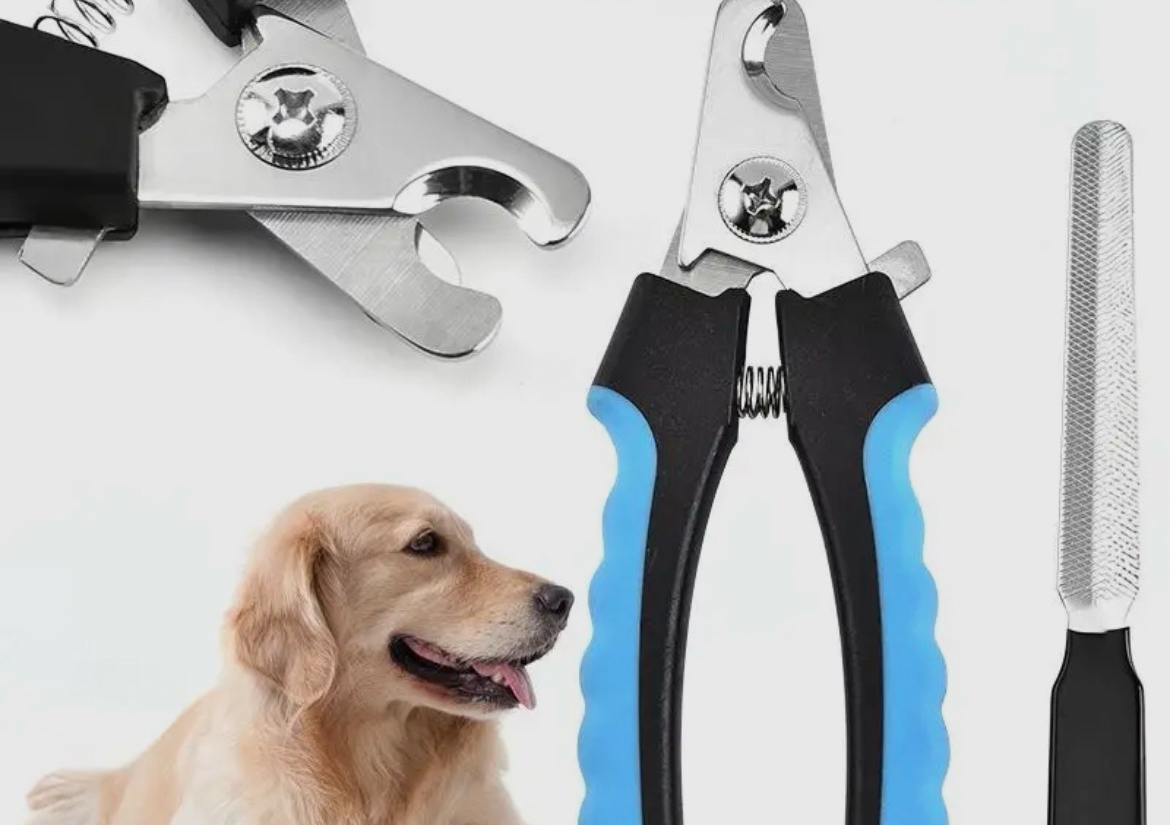 Pet Nail Clipper Set ~ Blue