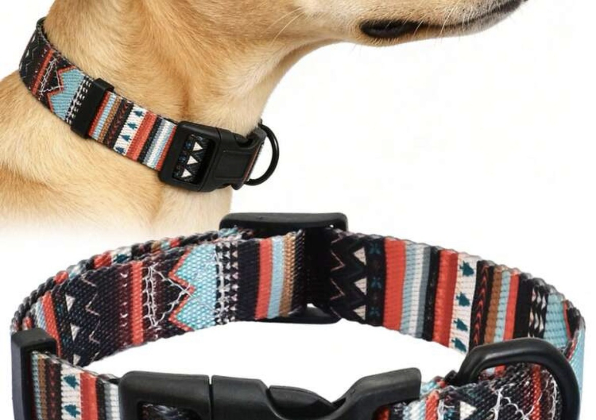 Dog Collar - medium to large