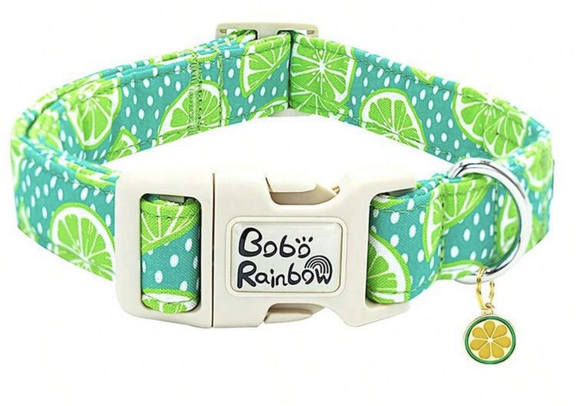 Lime dog collar - medium to large