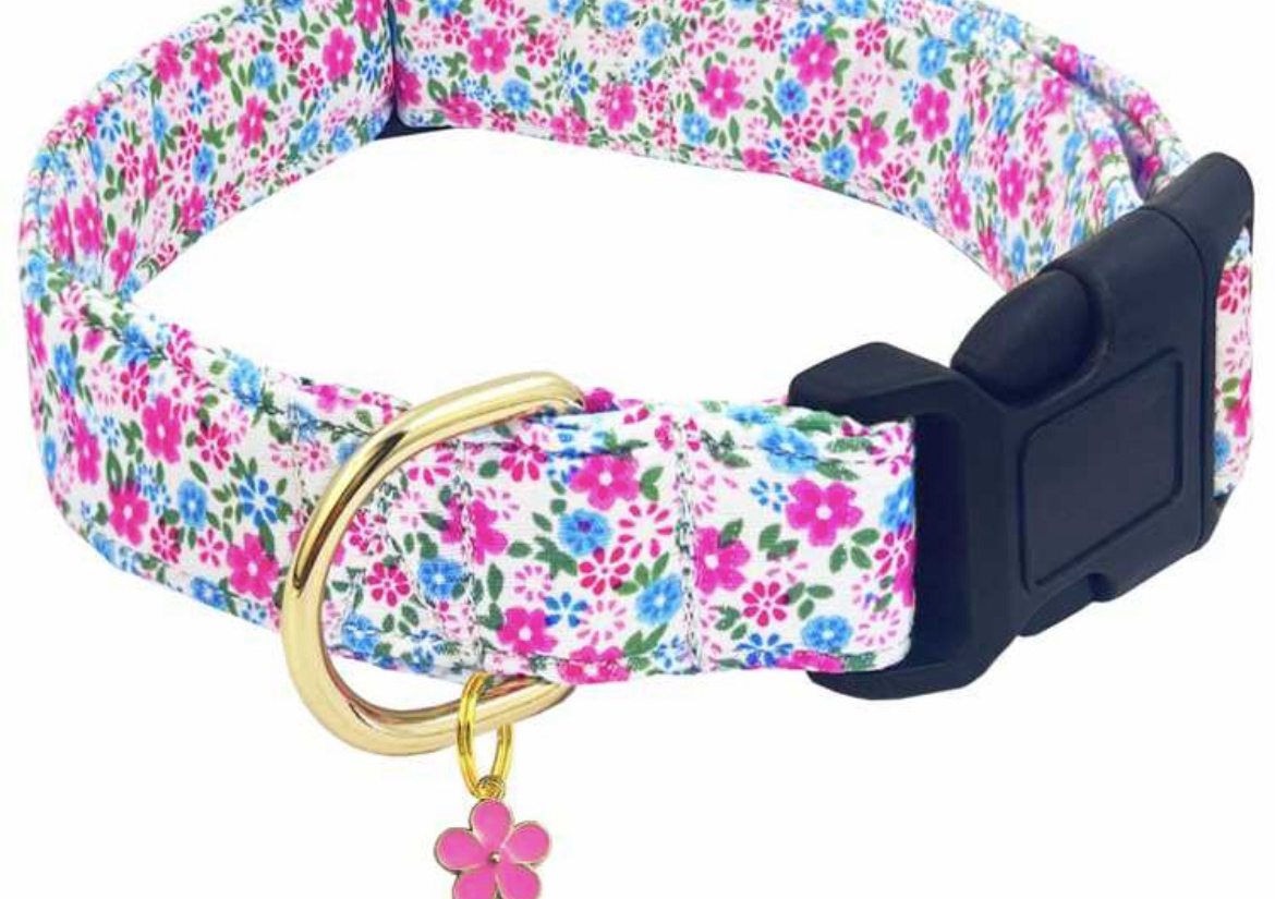 Blue/Pink dog collar ~ large