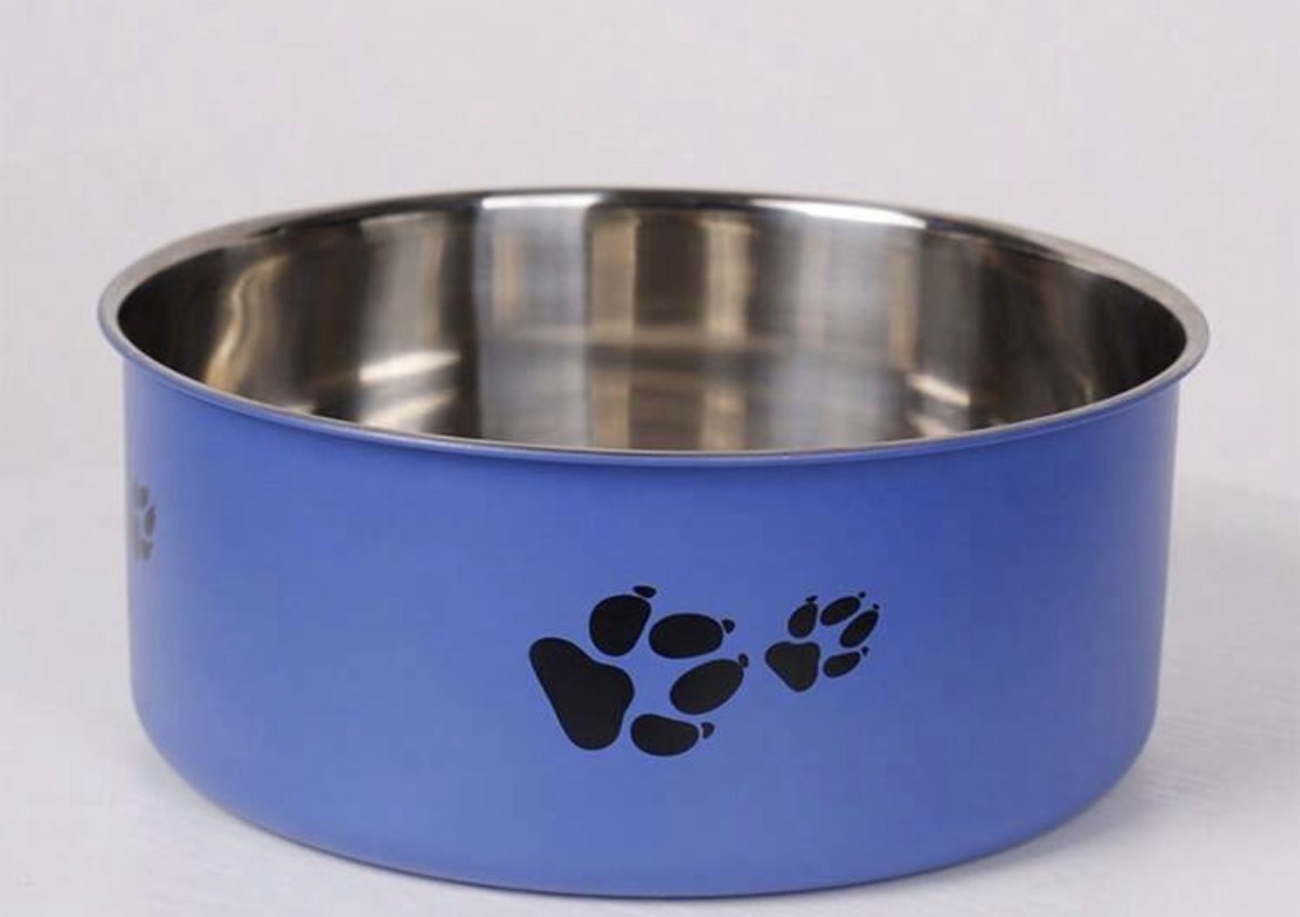Medium Dog FoodWater Bowl ~ Blue