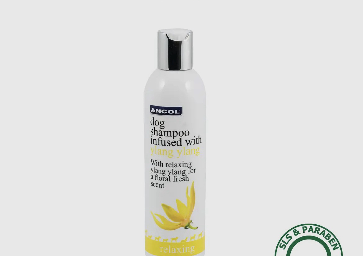 Luxury dog shampoo - ylang ylang