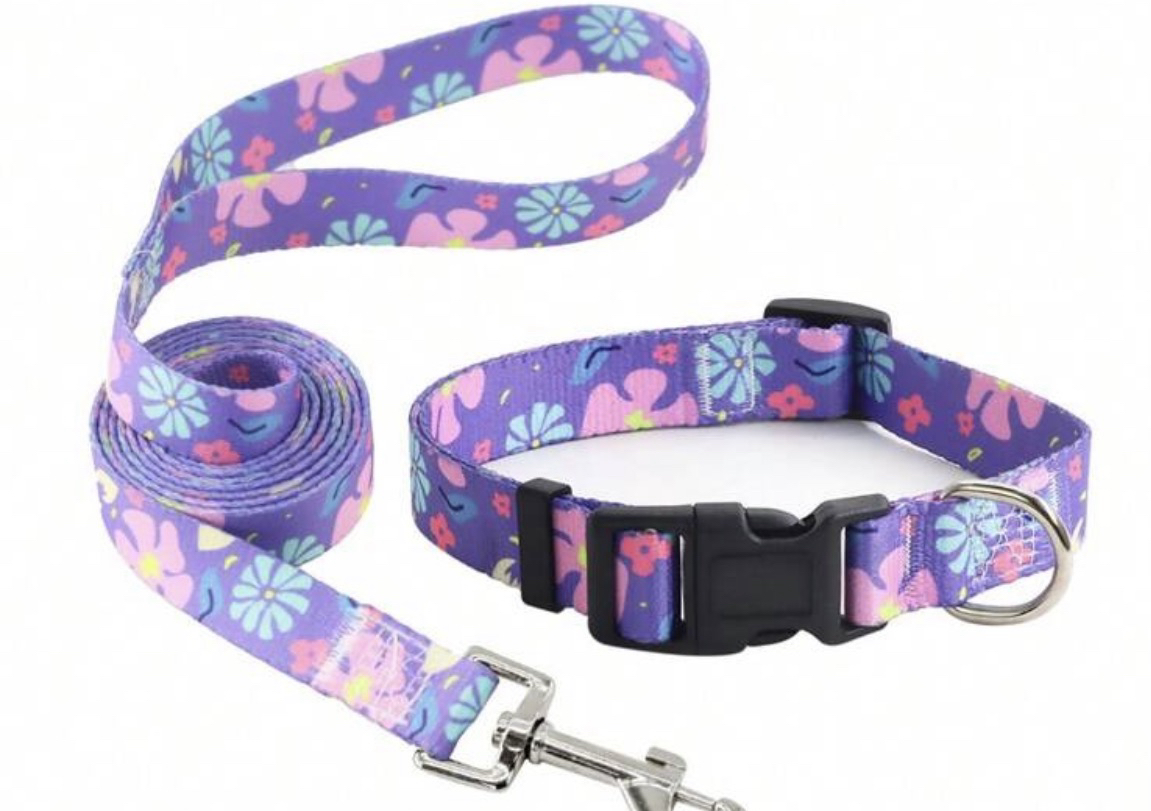 Pretty purple collar & lead set, medium