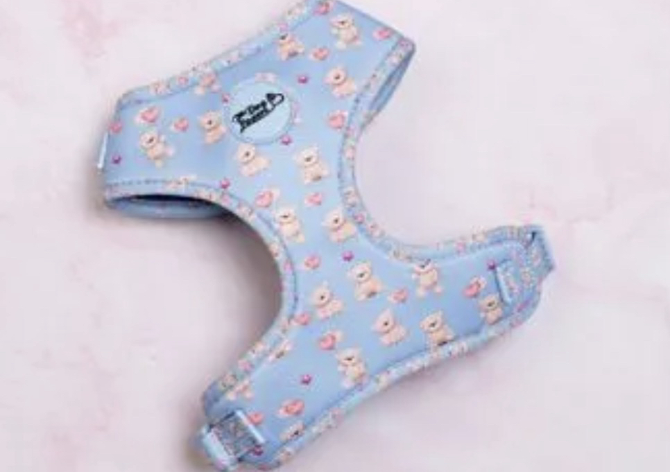 Adjustable Dog Harness Everybody Needs A Teddy Bear sizes XS - L