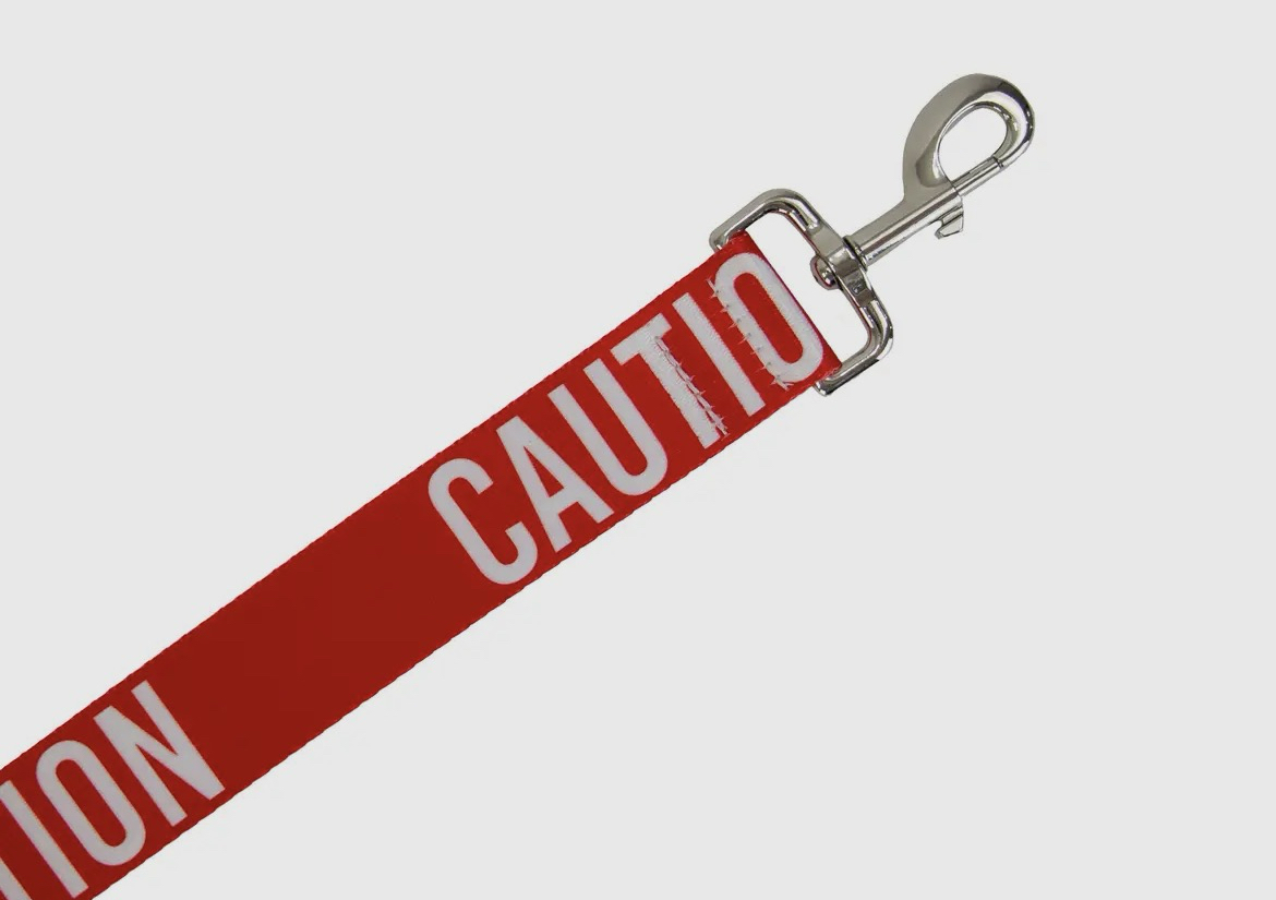 Awareness training & dog safety lead 1.5m ~ caution