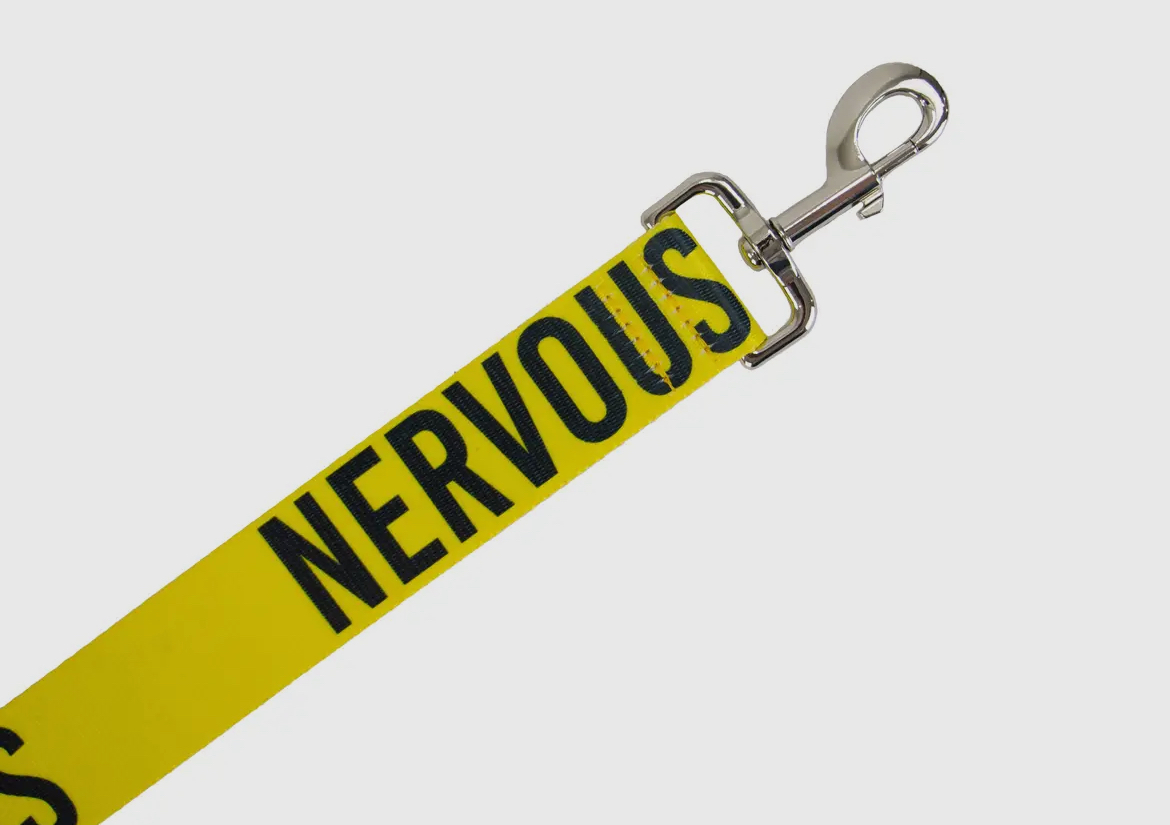 Awareness training & safety dog lead 1.5 metres ~ Nervous