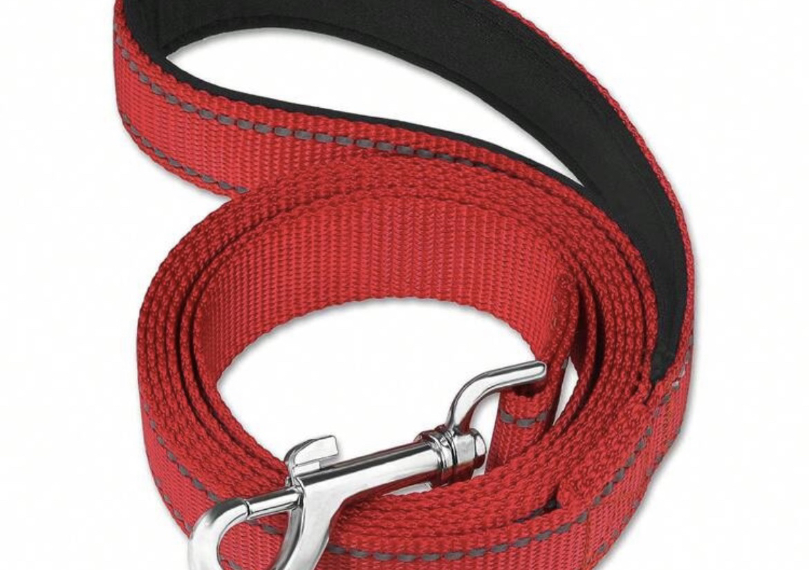 Reflective Dog Lead - Red