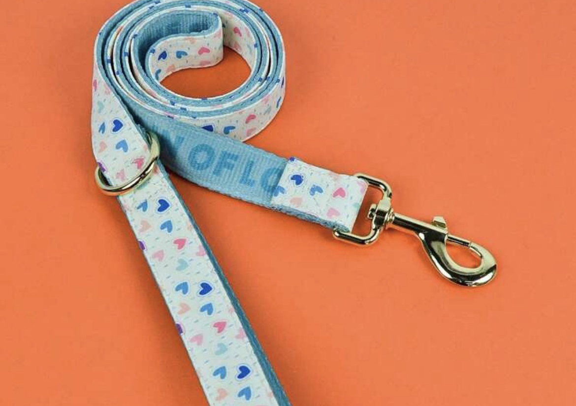 White/multi dog lead