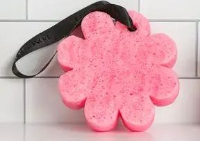 spongelle  rose flower