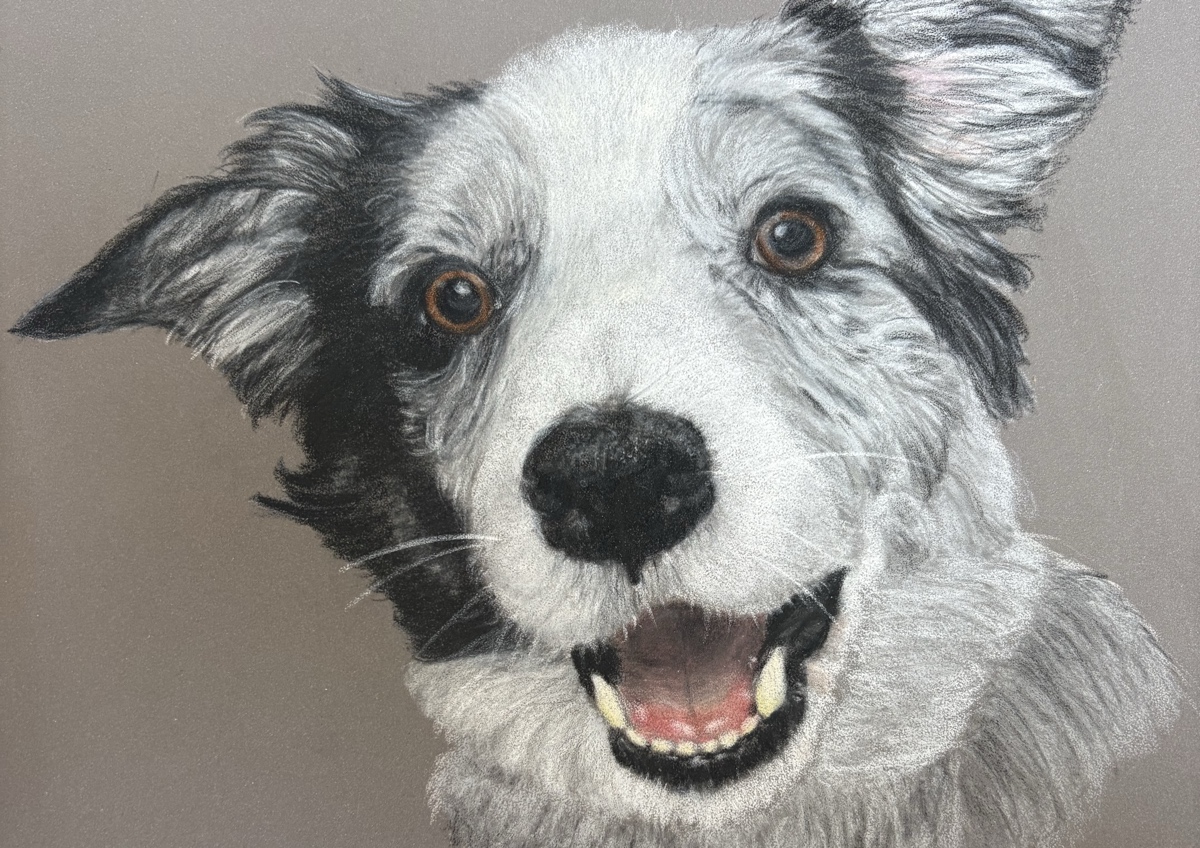 3 x Large Dog Grooms